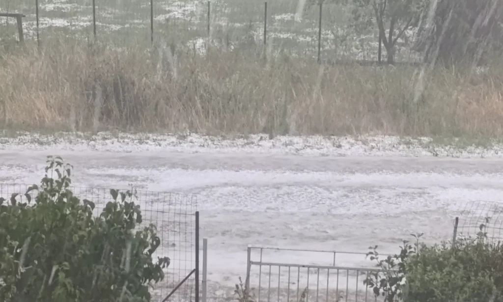 Ιωάννινα: Έντονη χαλαζόπτωση στην Πεδινή - Ζημιές σε οπωροφόρα και καλλιέργειες