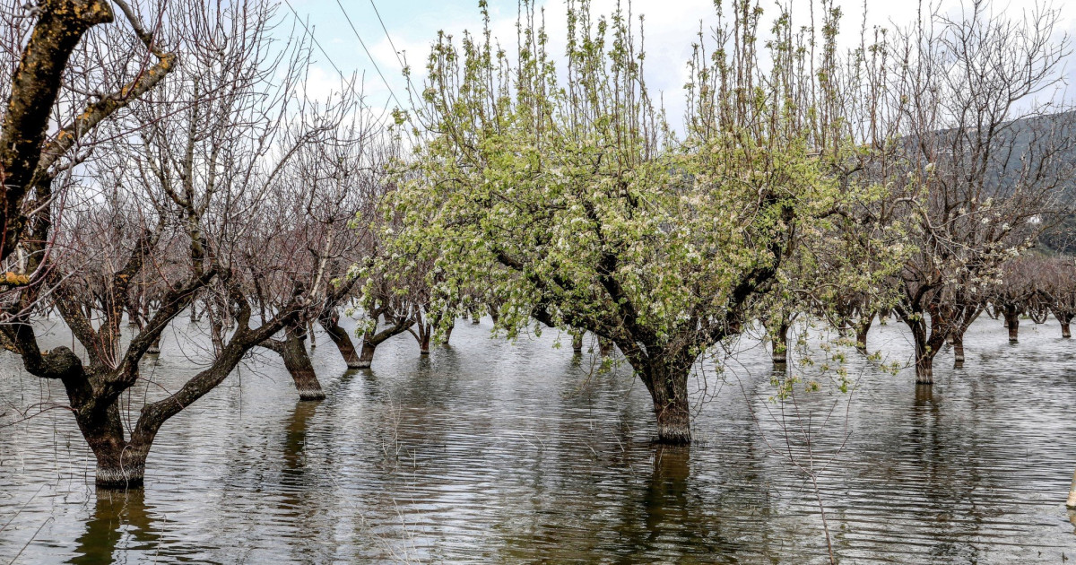ΥΠΑΑΤ: 35 εκατ. ευρώ για τις πλημμύρες του Σεπτεμβρίου 2023 (Daniel και Elias).