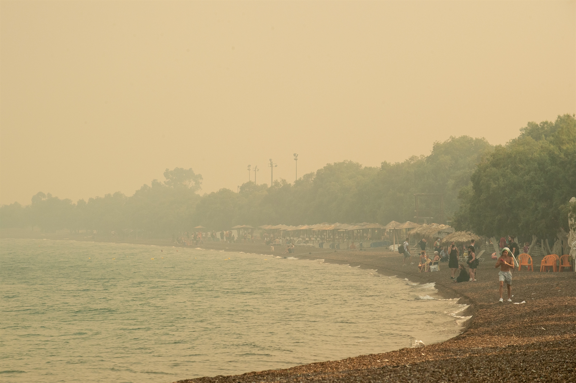 Ενίσχυση άνω των 24.000 ευρώ σε 45 επιχειρήσεις της Νέας Αγχιάλου που επλήγησαν από τις πυρκαγιές του 2023