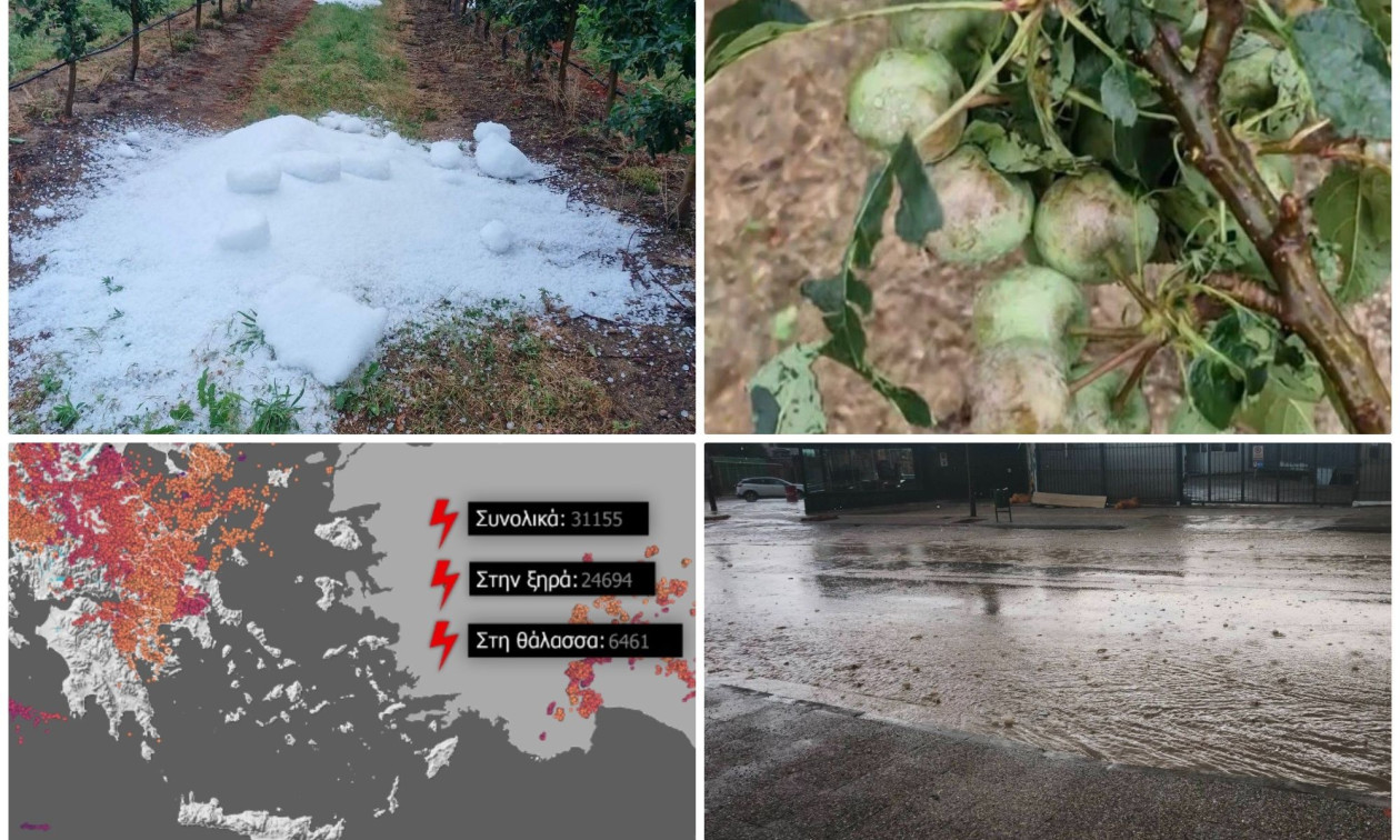 Σε Ελασσόνα και Φάρσαλα, σοβαρές ζημιές σε καλλιέργειες λόγω χαλαζόπτωσης και ισχυρών ανέμων.