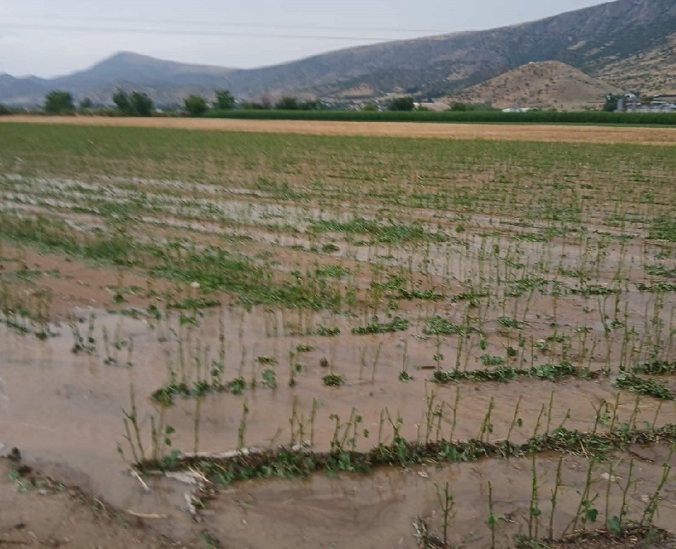 Δείτε την εικόνα βιβλικής καταστροφής απο τη σφοδρή χαλαζόπτωση  στις καλλιέργειες της Φαρκαδόνας (ΦΩΤΟ)
