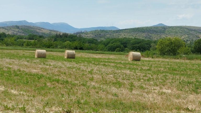 Δήμος Κιλελέρ: Επιστολή σε Σχοινά – Πιτσιλή για τα προβλήματα που έχουν προκύψει λόγω του “monitoring”