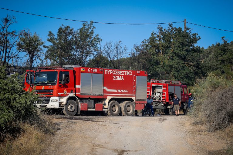 Φωτιά στo Πήλιο μεταξύ Καλών Νερών και Μπούφας