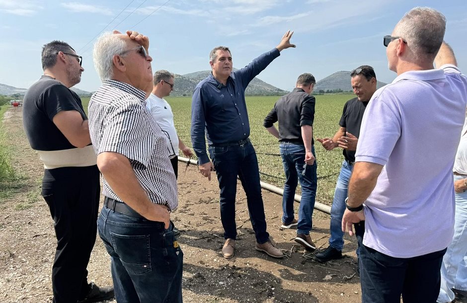 Αύγουστο πληρώνει εκκρεμότητες φυτικού 2025 και α- τριμήνου 2026 ο ΕΛΓΑ, μένουν πίσω αποζημιώσεις για απώλειες λόγω Daniel Αύγουστο πληρώνει εκκρεμότητες φυτικού 2025 και α- τριμήνου 2026 ο ΕΛΓΑ, μένουν πίσω αποζημιώσεις για απώλειες λόγω Daniel