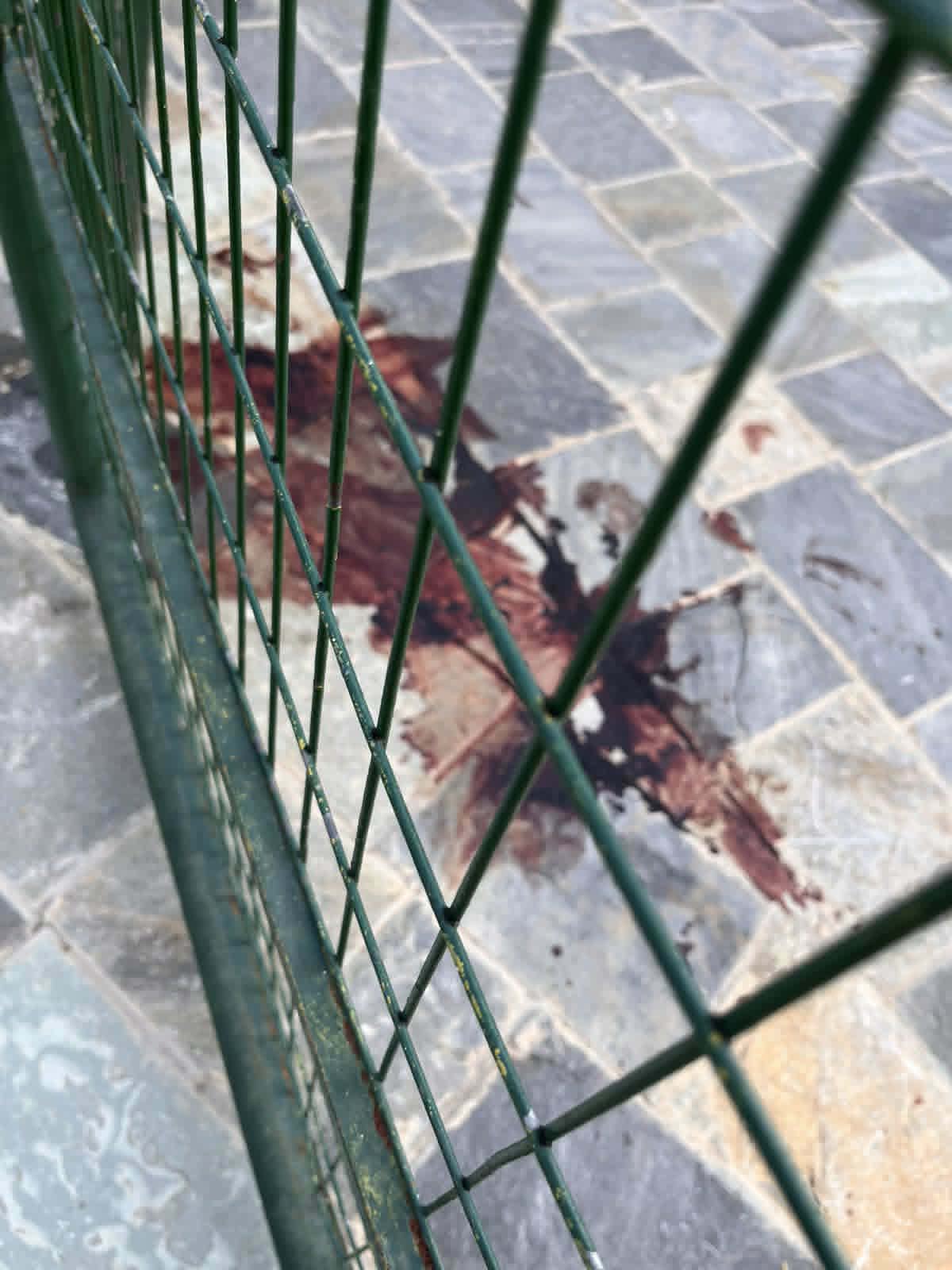 Συνελήφθη 19χρονος Λαρισαίος για την επίθεση στους δύο ανήλικους Αιγύπτιους – Αναζητούνται οι υπόλοιποι της 10μελούς ομάδας