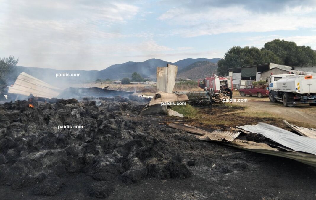 Φωτιά σε χωριό δίπλα στην Λάρισα κατέκαψε ποιμνιοστάσιο και τα ζώα (ΦΩΤΟ)