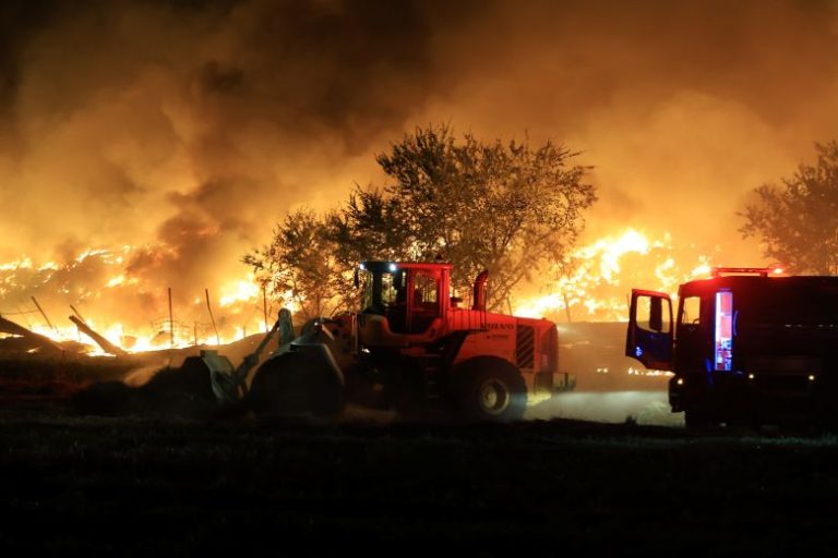 Ολονύχτια μάχη με τις φλόγες στη Λάρισα: Οριοθετήθηκε η πυρκαγιά