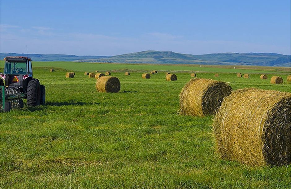 Με de minimis, παλιά 2024 και β- δόση ΕΦΚ πετρελαίου ο Ιούλιος
