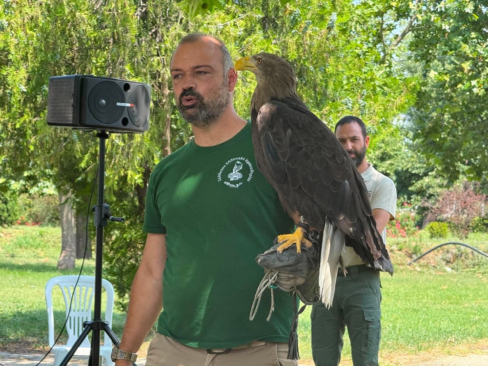 Δράση περιβαλλοντικής ενημέρωσης στον Δήμο Φαρσάλων για τα αρπακτικά πτηνά (φωτ.)