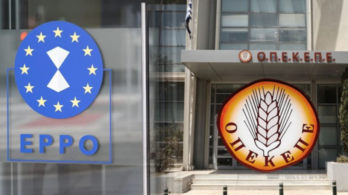 Διώξεις για υπόθεση ΟΠΕΚΕΠΕ: Κανονικά υποψήφιοι στις εκλογές οι βουλευτές- αντιμετωπίζουν πλημμελήματα