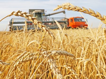 Με τιμή στα 214 ευρώ ο τόνος στον παραγωγό, στον Μάρκου οι 17.000 τόνοι σκληρό στον διαγωνισμό Ορεστιάδας Με τιμή στα 214 ευρώ ο τόνος στον παραγωγό, στον Μάρκου οι 17.000 τόνοι σκληρό στον διαγωνισμό Ορεστιάδας