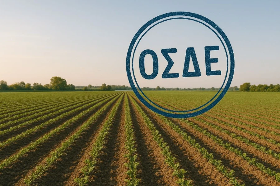 Στα «κάγκελα» τα ΚΥΔ για το ΟΣΔΕ – Tα πρόστιμα “μαμούθ” φέρνουν  «μπλόκο» στις δηλώσεις  (video)