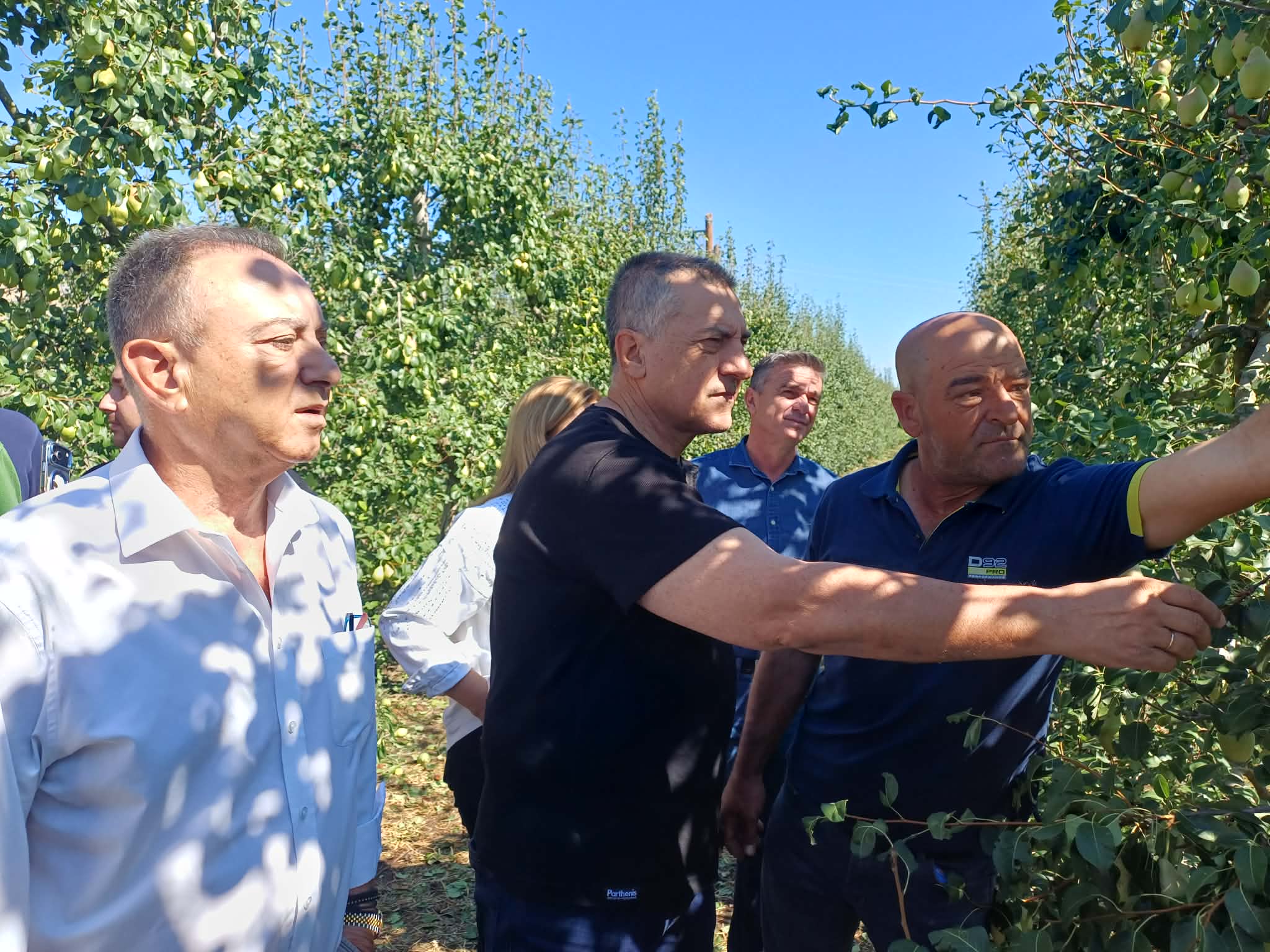 Τύρναβος: Πρωτοφανείς εικόνες καταστροφής μετά τη σφοδρή χαλαζόπτωση - Αυτοψία του ΕΛΓΑ (ΦΩΤΟ-ΒΙΝΤΕΟ)