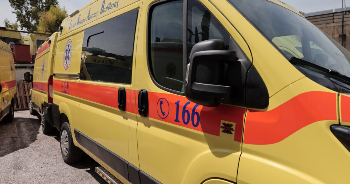Σοκ στον Βόλο: Αδέσποτο κατασπάραξε 6χρονο σε παιδική χαρά – Εσπευσμένη διακομιδή στην Αθήνα για χειρουργείο