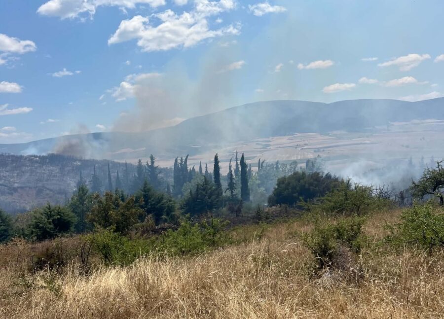 Φάρσαλα: Υπό έλεγχο η μεγάλη φωτιά στη θέση «Κυρά» χάρη στη  έγκαιρη κινητοποιηση της Πυροσβεστικής
