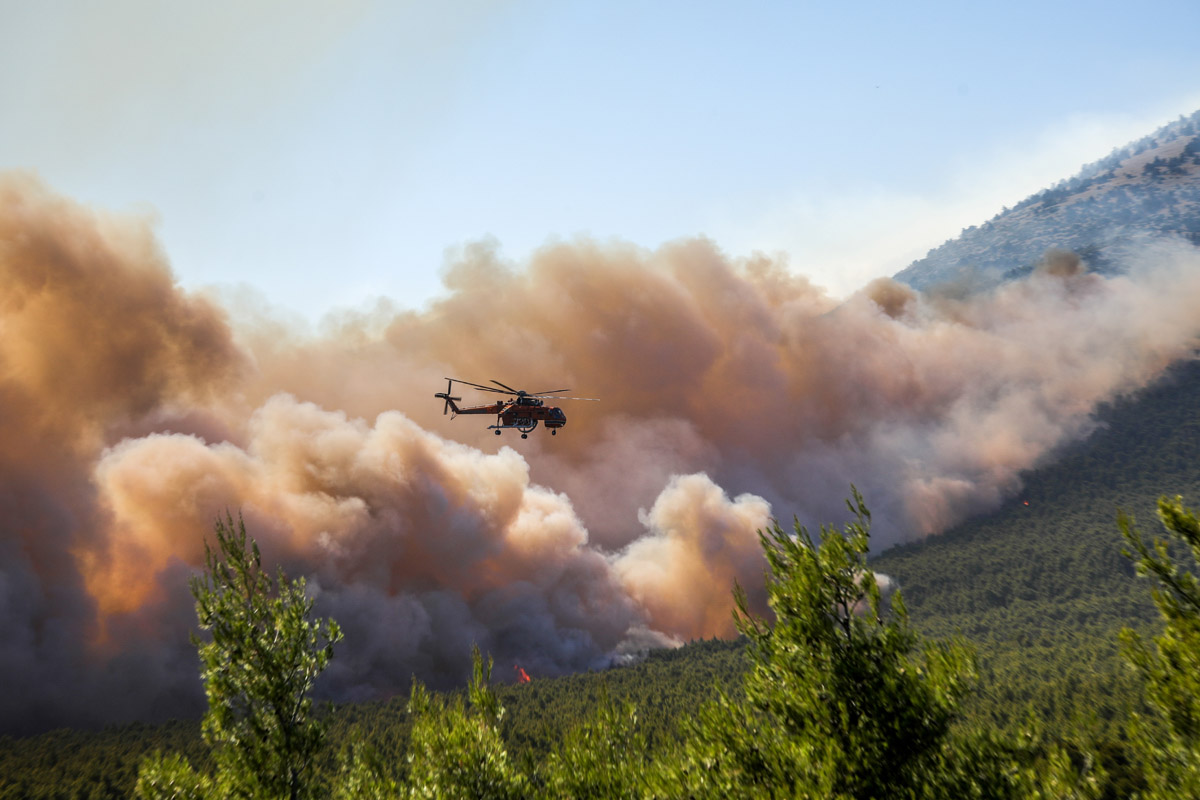 Δύο συλλήψεις για τη μεγάλη πυρκαγιά στη Βοιωτία που επεκτάθηκε στην Αττική