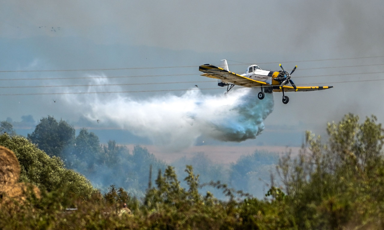 Συνελήφθη 32χρονος στα Τρίκαλα για φωτιά σε υπολείμματα βλάστησης-άλλες δύο συλλήψεις σε Αττική, Πρέβεζα Συνελήφθη 32χρονος στα Τρίκαλα για φωτιά σε υπολείμματα βλάστησης-άλλες δύο συλλήψεις σε Αττική, Πρέβεζα