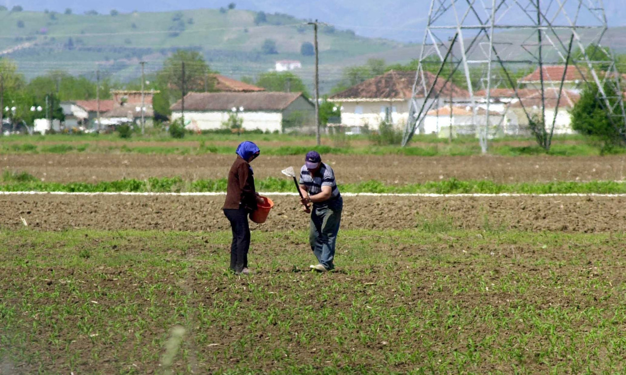 myAGRO: Νέα διαδικασία εξουσιοδοτήσεων μέσω myAADE, δείτε βήμα – βήμα τη διαδικασία