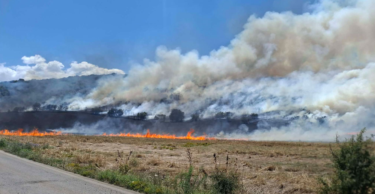 Συναγερμός για φωτιά στην Κρήνη Φαρσάλων- μήνυμα του 112 στους κατοίκους της ΠΕ Λάρισας