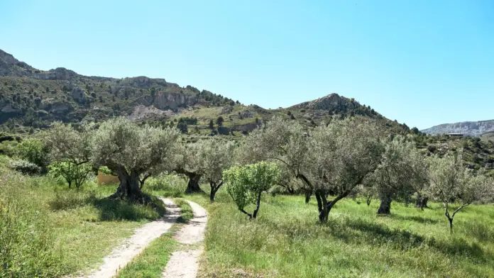 ΑΑΔΕ Δικαιούχοι άμεσων ενισχύσεων και κριτήρια ενεργού αγρότη