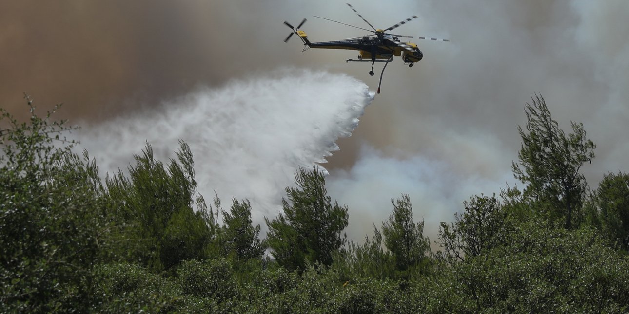 Φωτιά σε αγροτοδασική έκταση στο Πάου στο Πήλιο -Μεγάλη κινητοποίηση της Πυροσβεστικής, εστάλη 112 για ετοιμότητα