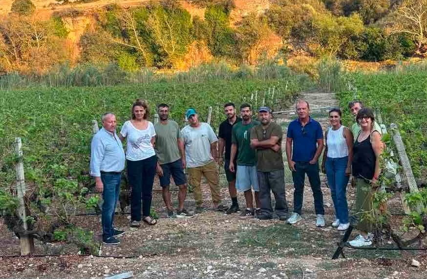 ΑΥΤΟΨΙΑ ΤΟΥ ΓΕΩΠΟΝΙΚΟΥ ΠΑΝΕΠΙΣΤΗΜΙΟΥ ΑΘΗΝΩΝ ΣΤΟΥΣ ΑΜΠΕΛΩΝΕΣ ΤΟΥ ΔΗΜΟΥ ΤΥΡΝΑΒΟΥ ΠΟΥ ΕΠΛΗΓΗΣΑΝ ΑΠΟ ΤΟ ΧΑΛΑΖΙ