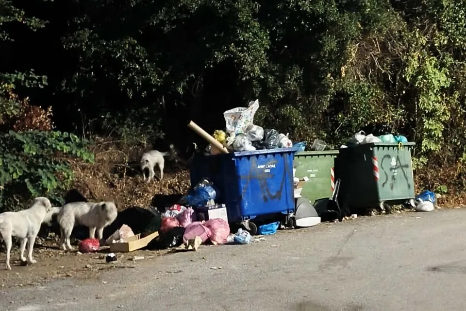«Βρώμα και δυσωδία από σκουπίδια στο Πολυδένδρι»