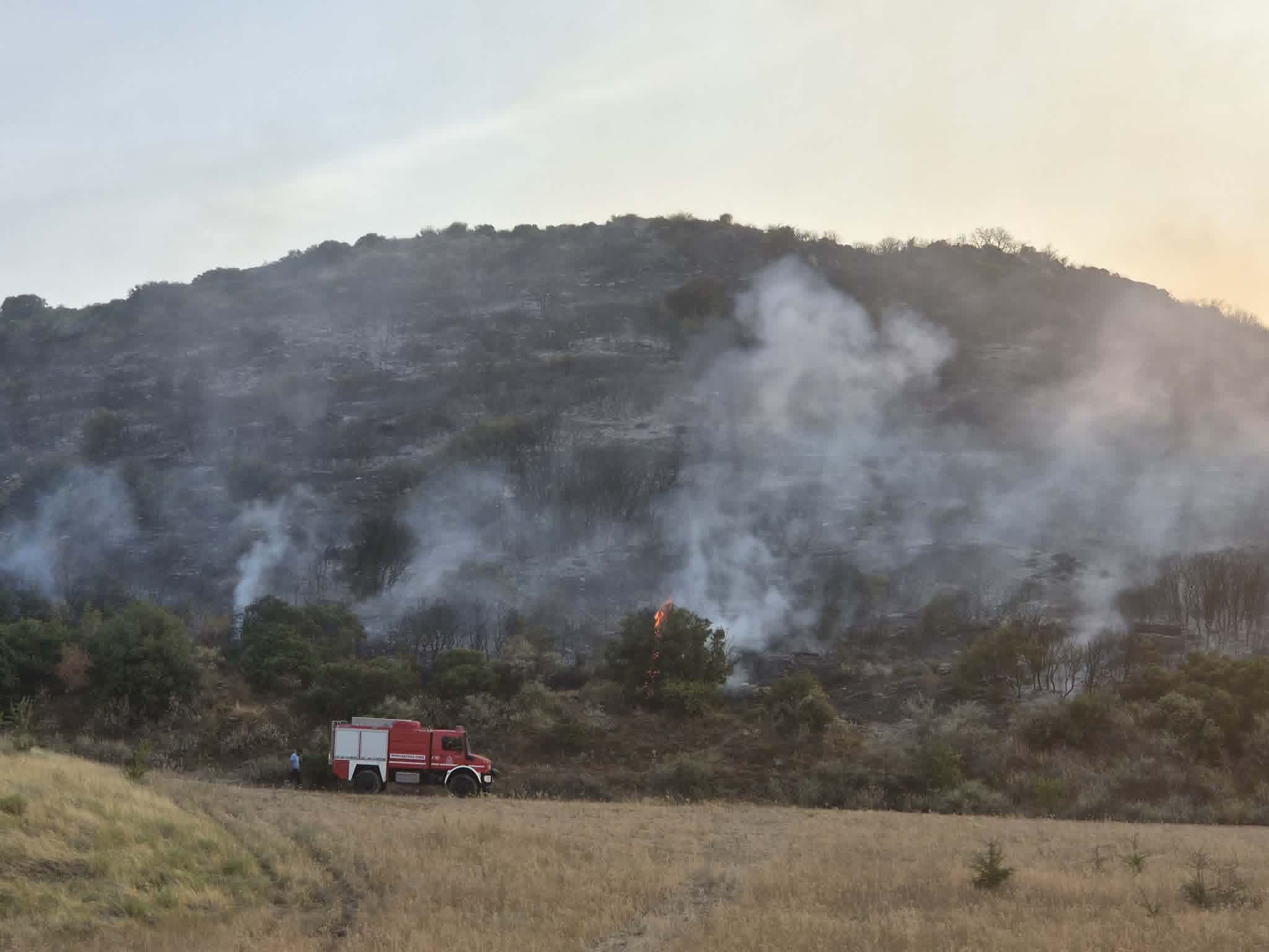 Υπό έλεγχο τα πύρινα μέτωπα στον Βόλο – Εξετάζεται το ενδεχόμενο εμπρησμού (ΦΩΤΟ+video)