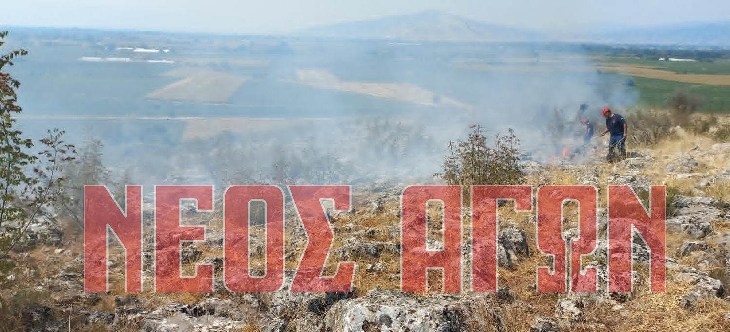 Υπό έλεγχο τέθηκε φωτιά στη Μεταμόρφωση του Δήμου Παλαμά