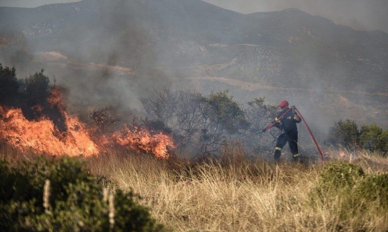 Συναγερμός για φωτιά στη Ραψάνη - οριοθετήθηκε χάρη στην επέμβαση ισχυρών επίγειων δυνάμεων της Πυροσβεστικής