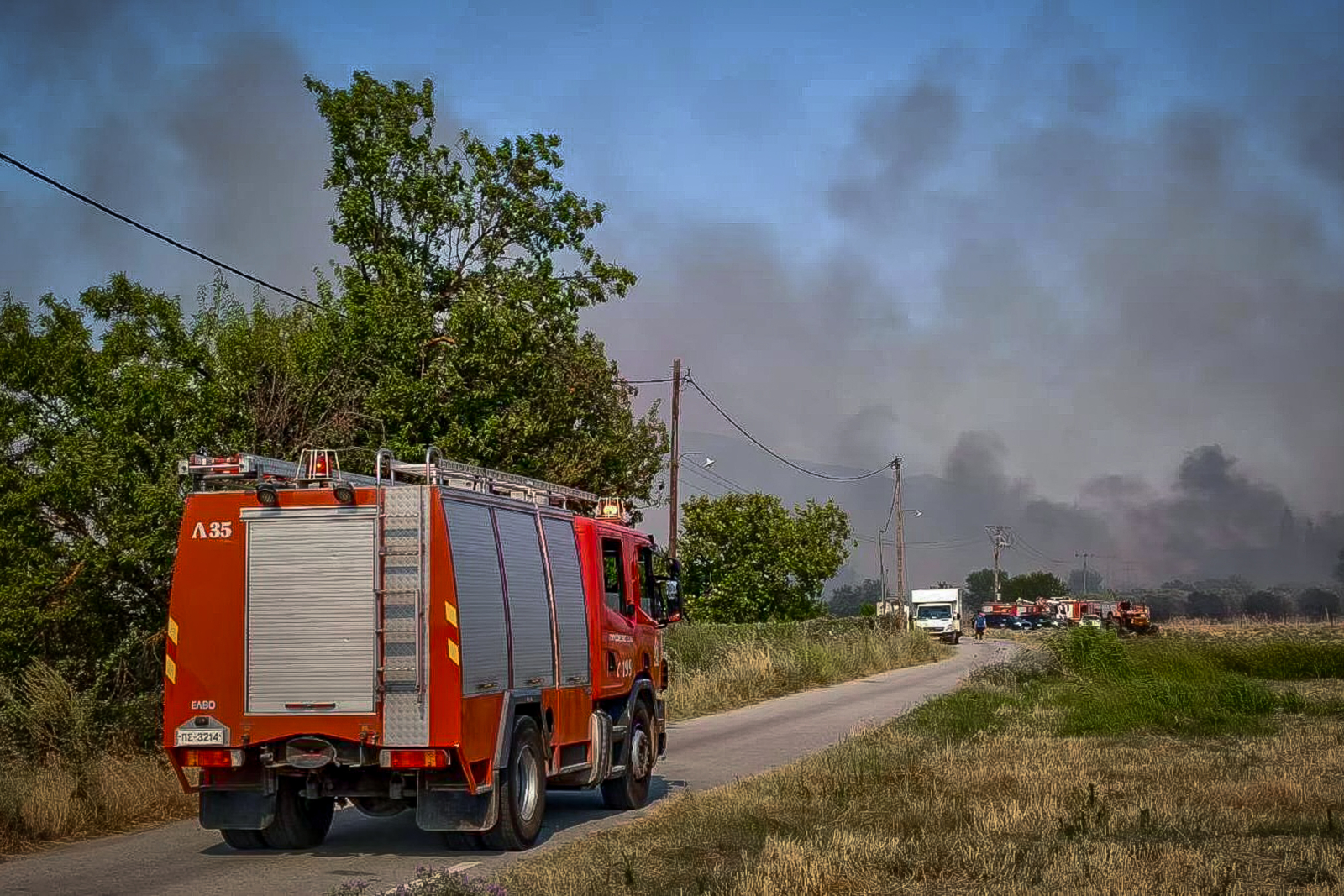 Πυρκαγιά στα Τρίκαλα στην περιοχή Γενέσι - Επιχειρούν και εναέρια μέσα Πυρκαγιά στα Τρίκαλα στην περιοχή Γενέσι - Επιχειρούν και εναέρια μέσα