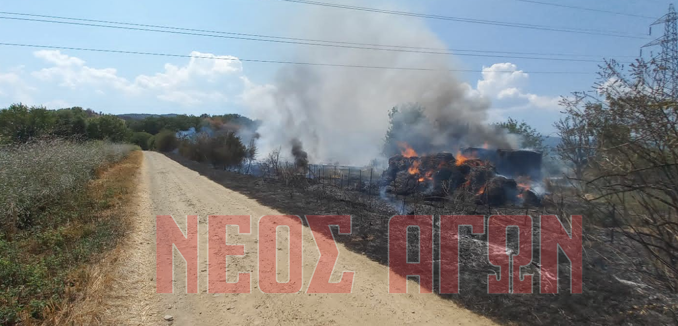 Καθοριστική η άμεση επέμβαση της Πυροσβεστικής σε δασική πυρκαγιά στην Κρύα Βρύση Καρδίτσας (ΦΩΤΟ)