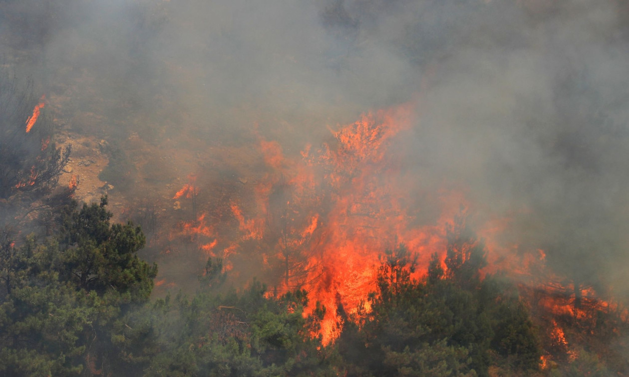Φωτιά στο Δροσοχώρι Τρικάλων Φωτιά στο Δροσοχώρι Τρικάλων