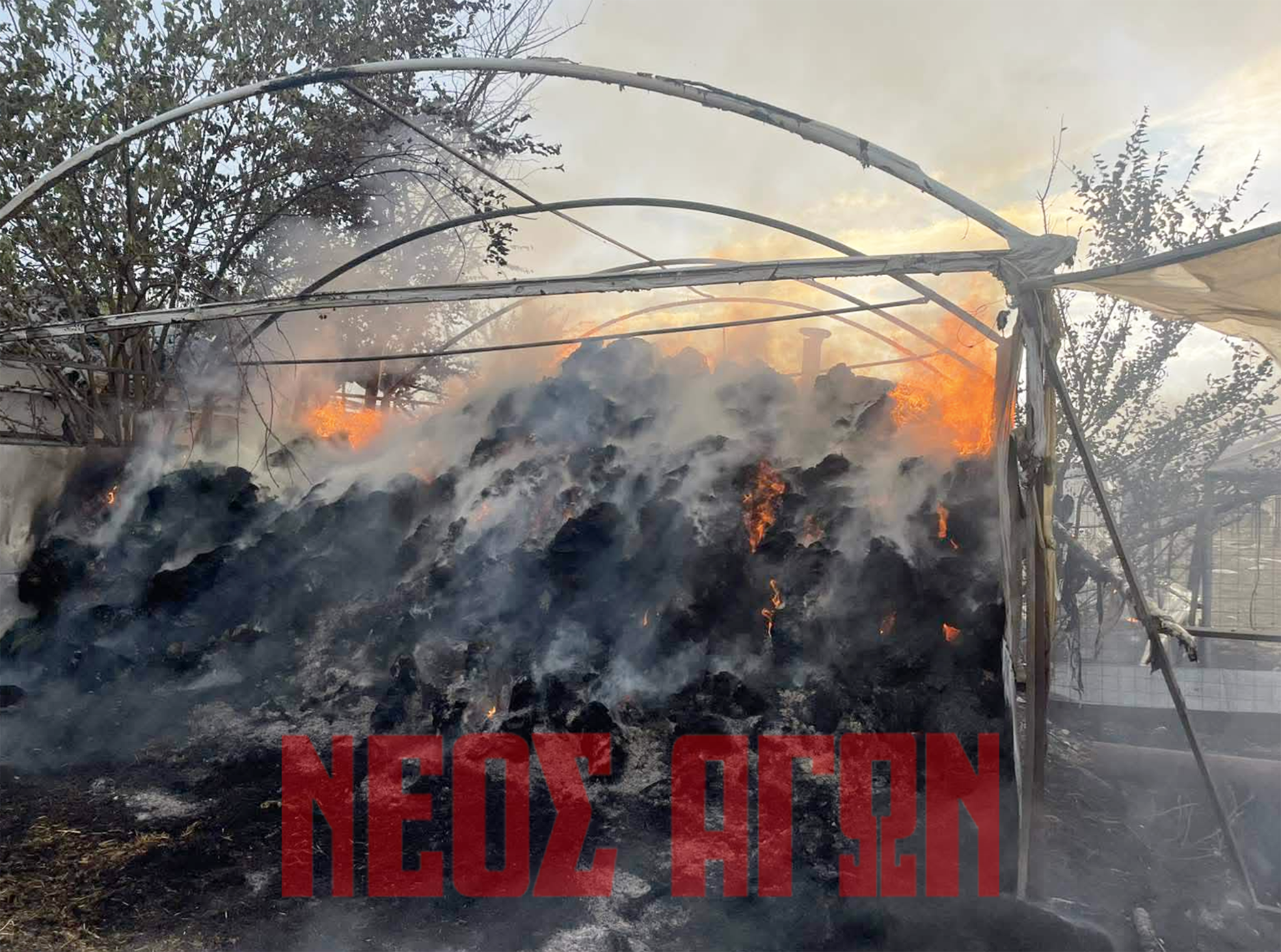 Στις φλόγες κτηνοτροφική μονάδα στο Προάστιο (ΦΩTO)
