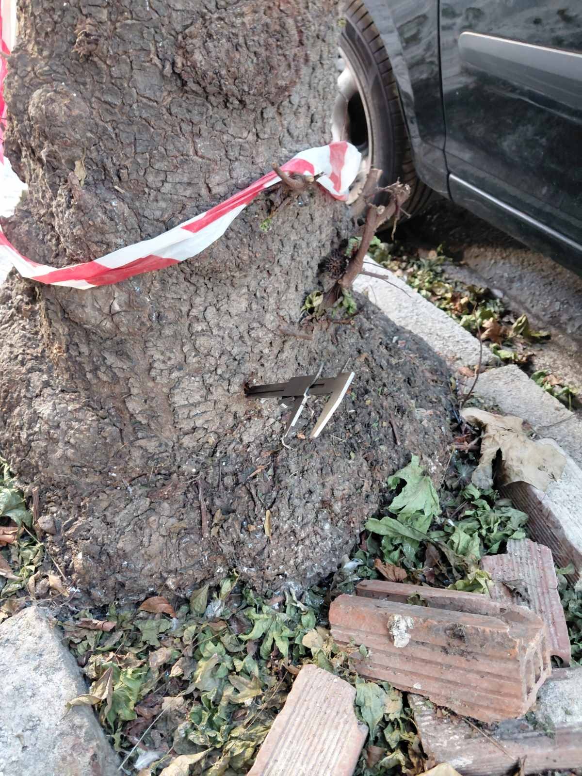 Κατέστρεψαν, με τρυπάνι, δέντρα στην οδό Τσιμισκή - Για απαράδεκτη εγκληματική ενέργεια κάνει λόγο η Δημοτική Αρχή