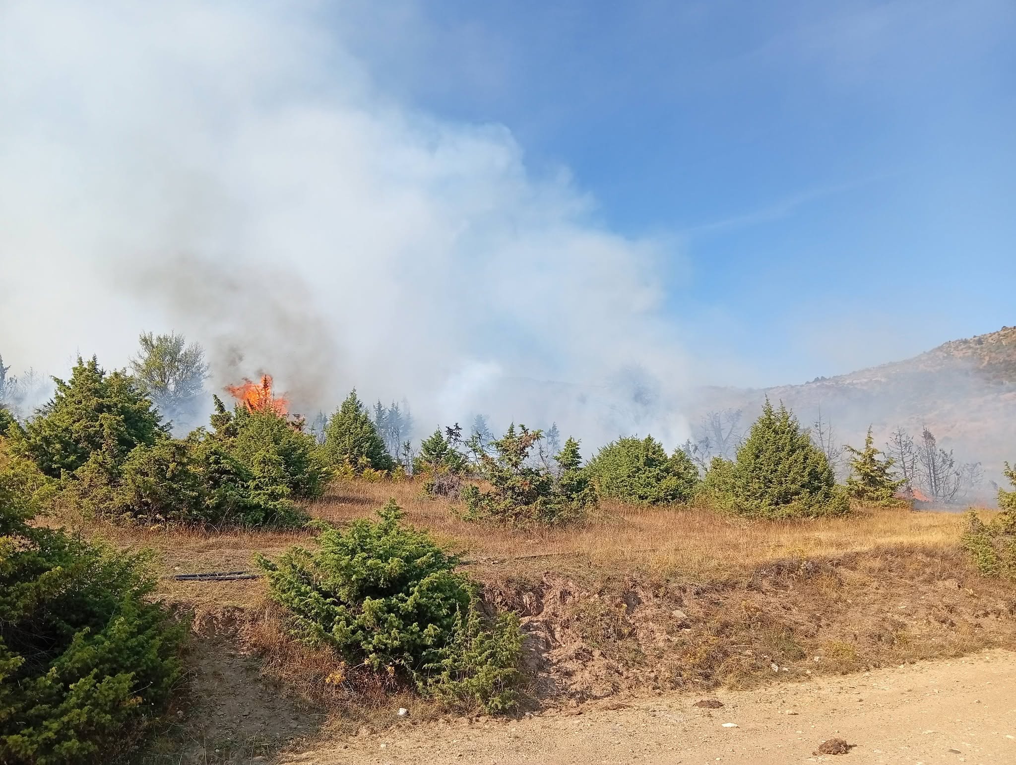 Μεγάλη κινητοποίηση για πυρκαγιά σε αγροτοδασική έκταση στην Ανατολή Αγιάς - συνδράμουν 5 εναέρια (ΦΩΤΟ)