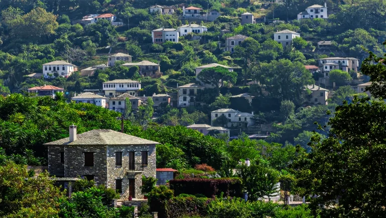 Κοινό αναπτυξιακό σχέδιο για τους τέσσερις δήμους του Πηλίου – «Πρώτα σχεδιάζουμε τι χρειάζεται ο τόπος και μετά διεκδικούμε»