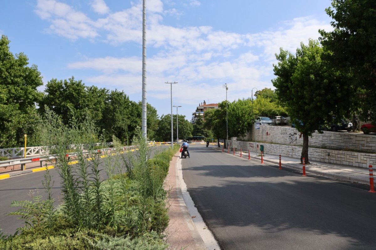 Δήμος Λαρισαίων: Εργασίες κλαδέματος επί της Γεωργιάδου την Κυριακή