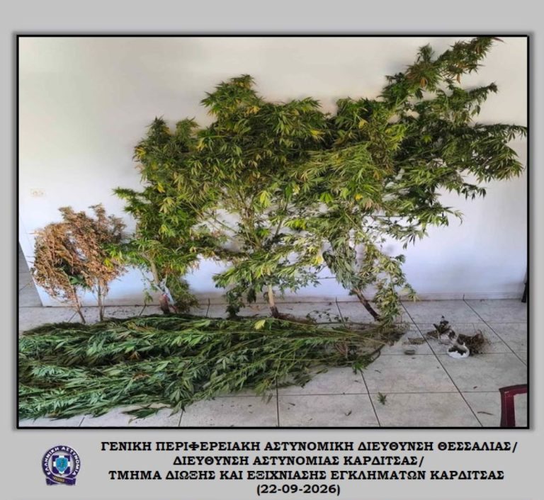 Καρδίτσα: Συνελήφθη 70χρονος για δενδρύλλια κάνναβης