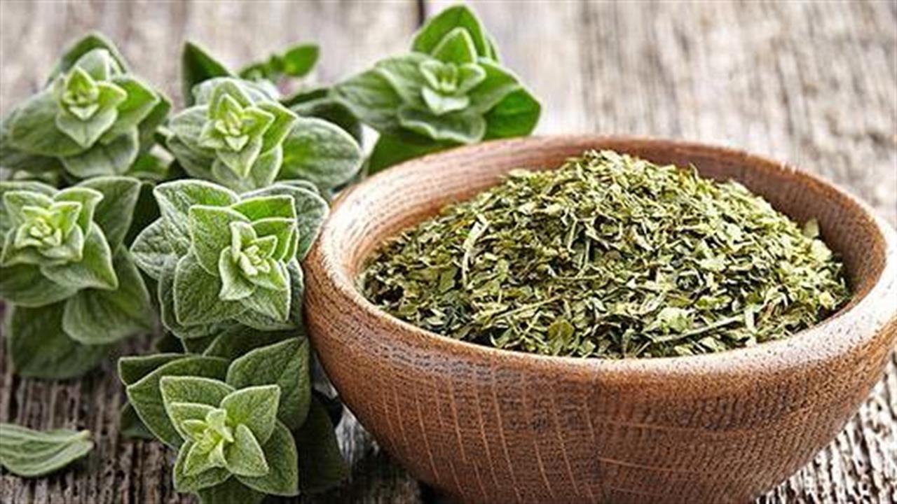 Η ρίγανη αλλάζει τη Θεσσαλία – Γιατί όλο και περισσότεροι αγρότες στρέφονται στη νέα καλλιέργεια