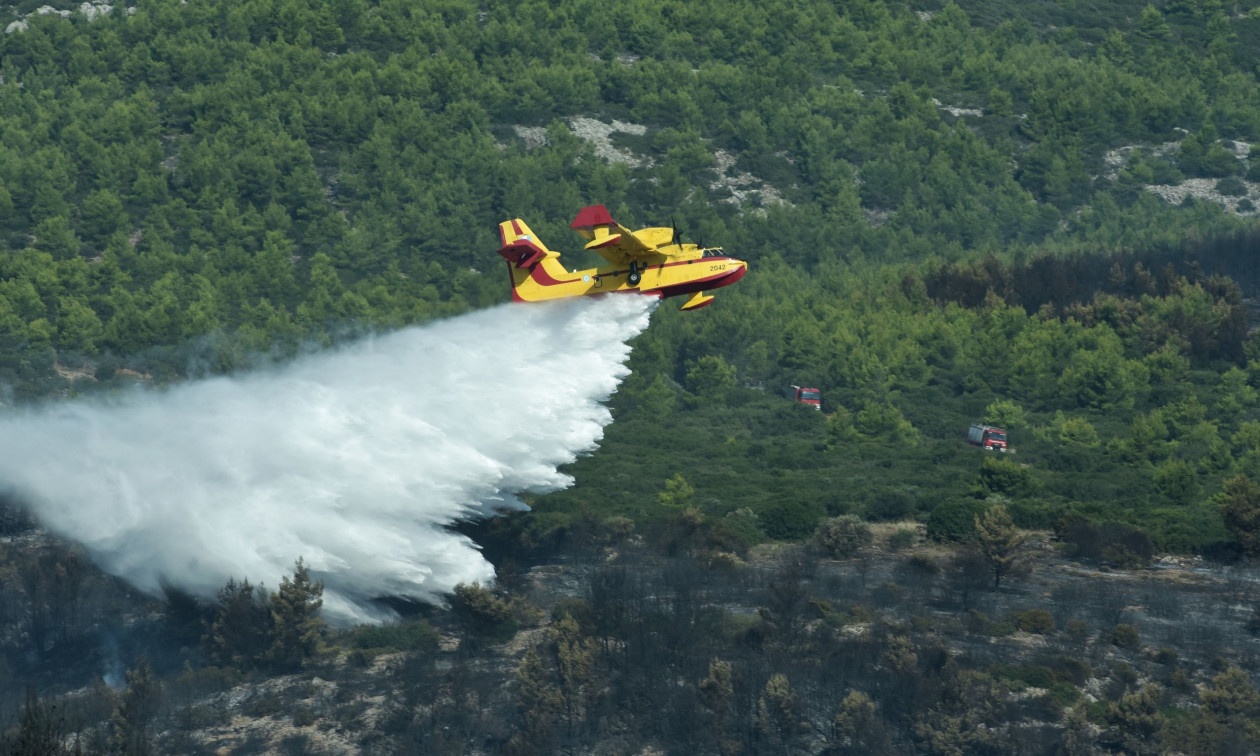 Φωτιά στη Λαμία - Επιχειρούν τρία εναέρια μέσα
