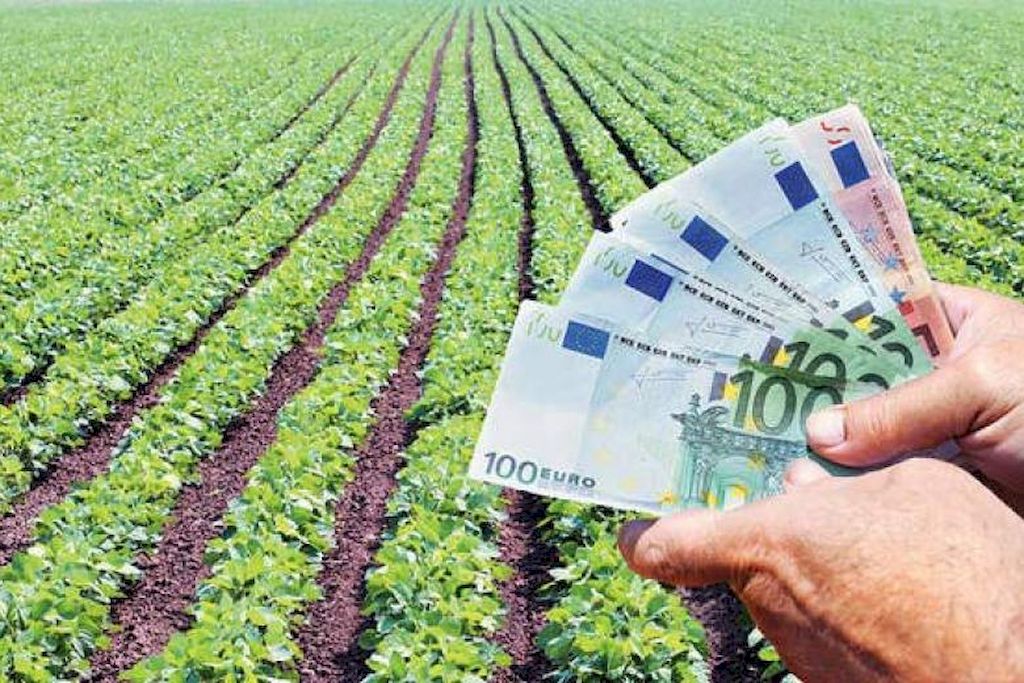 Μέχρι την Πέμπτη πιστώσεις για υπόλοιπα άμεσων 2025, μαζί με τα οικολογικά και τα βιολογικά σχήματα