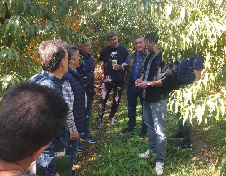 Αυτοψία σε δενδροκαλλιέργειες της Λάρισας για την παραμόρφωση των καρπών