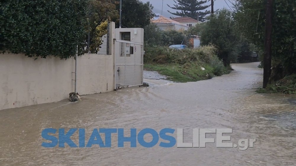 Σκιάθος: Πλημμυρικά φαινόμενα και πτώσεις δέντρων τη νύχτα – Κλειστά σχολεία και χωρίς λεωφορεία