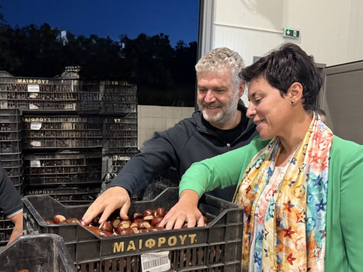 Μαρία Γαλλιού από τη Μελίβοια: Στο επίκεντρο η καστανοπαραγωγή και η αναγνώριση του κάστανου Μελίβοιας ως ΠΟΠ (ΦΩΤΟ)