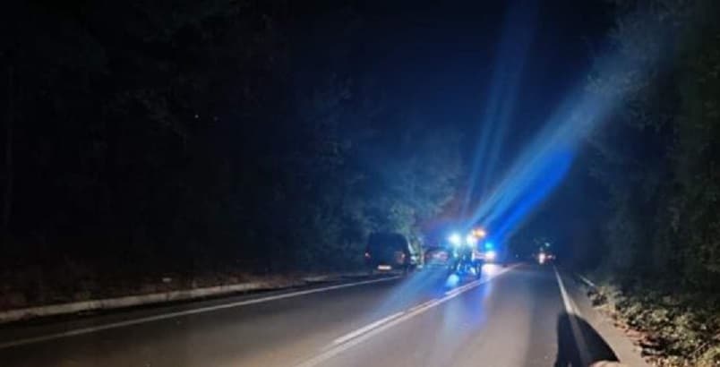 Αυτοκίνητα συγκρούστηκαν με αγριογούρουνα στο δρόμο Τυρνάβου – Λάρισας