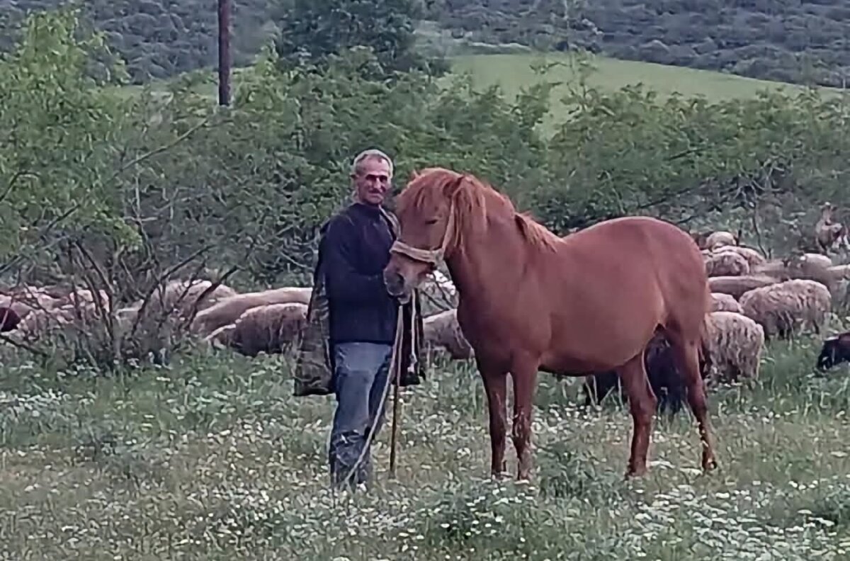 Κηδεύεται σήμερα ο Απόστολος Καψιώχας στην Πηνειάδα Τρικάλων