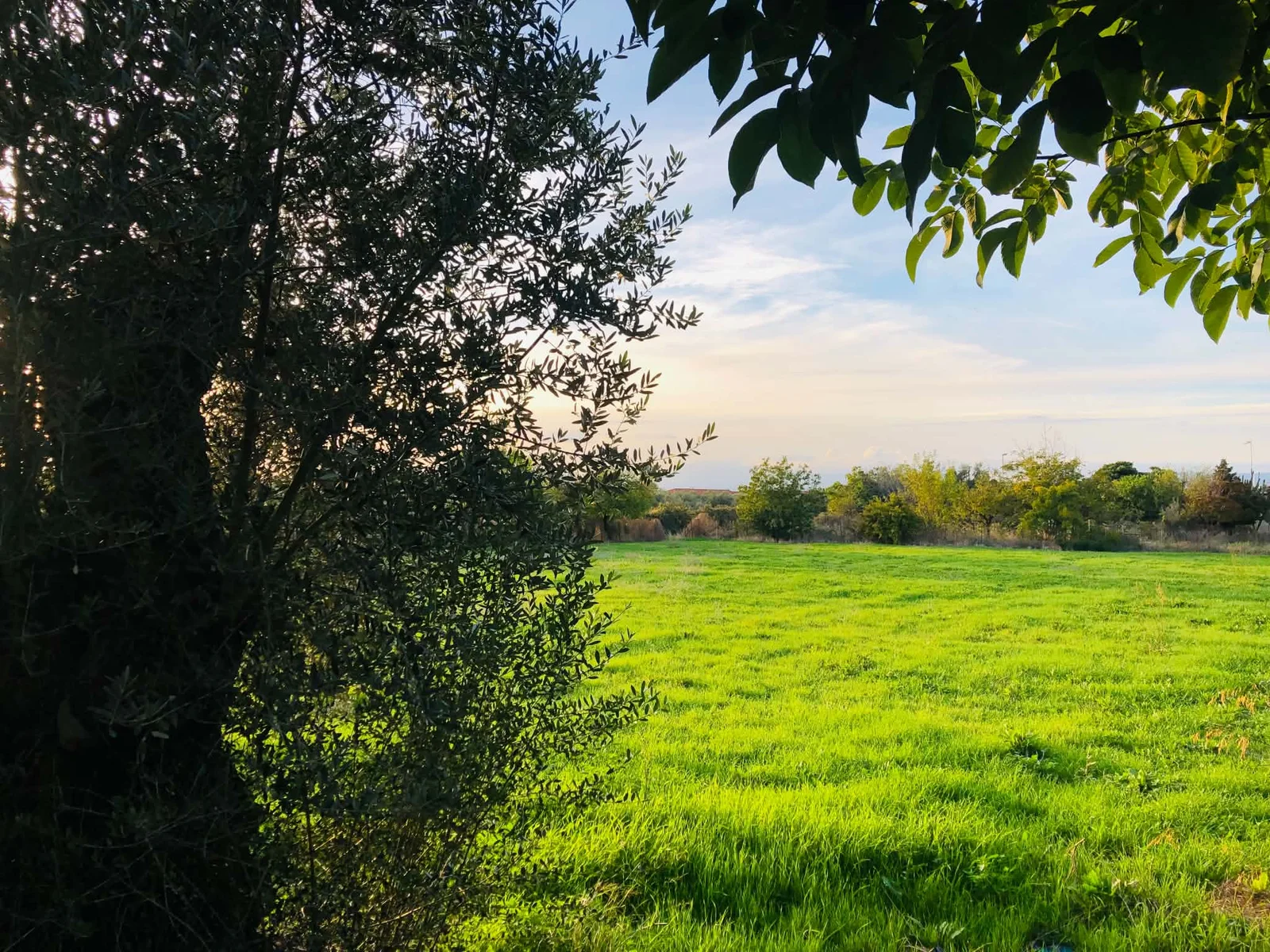 Ανδριανός για χρονοδιάγραμμα πληρωμών, ενδεχόμενο παράτασης ΟΣΔΕ και άνοιγμα δηλώσεων 2027