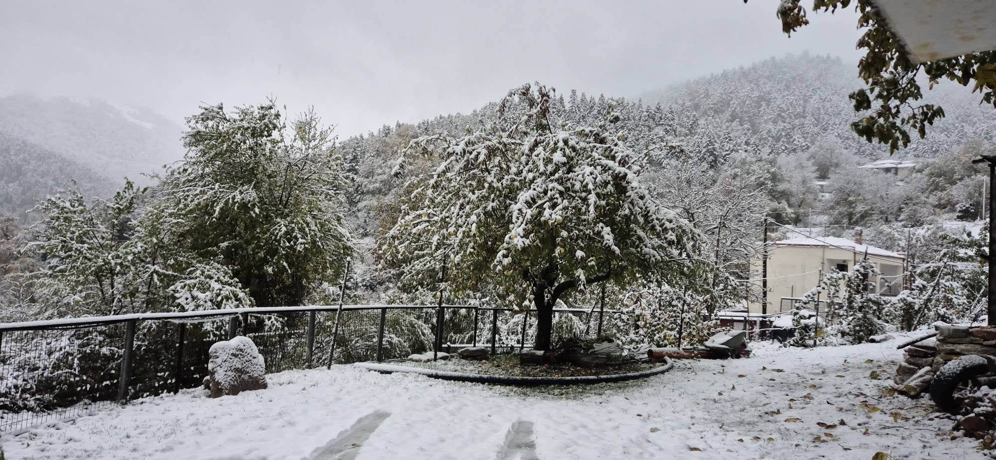 Στα λευκά τα Θεσσαλικά Άγραφα – Χιόνια σε Ρεντίνα και Ζαχαράκη, 20 εκατοστά στην Αργιθέα (ΦΩTO)