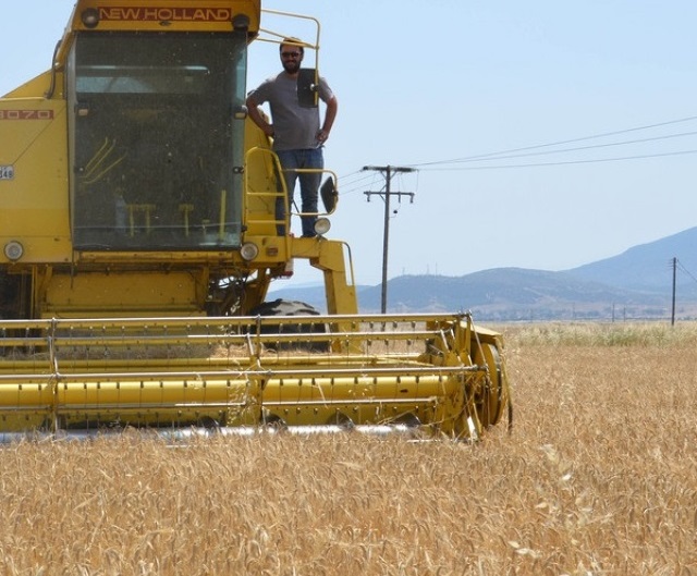 ΟΣΔΕ: Νέα παράταση προ των πυλών, αλλά οι επιδοτήσεις αργούν – Φόβοι για γενικευμένη αγρανάπαυση στον κάμπο (video)